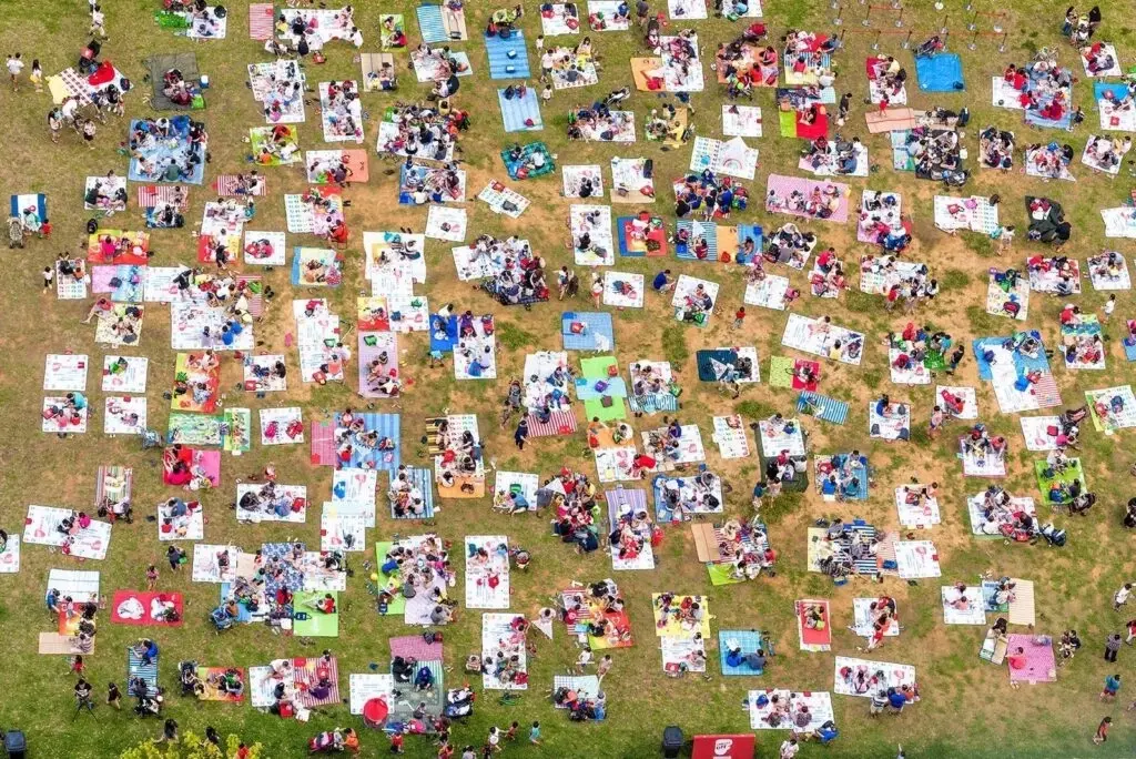 Reading Party & Picnic