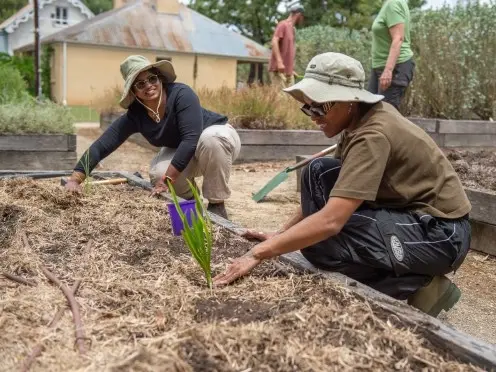 Parramatta Park Community Gardening Fridays