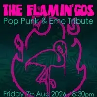 THE FLAMIN'GOS - Pop-punk/Emo anthems @ Black Cat
