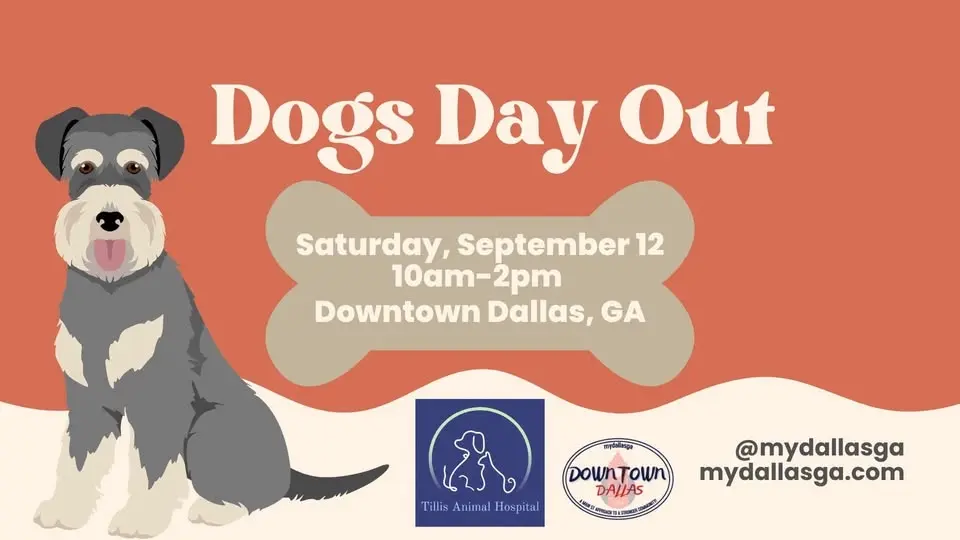 Dogs Day Out