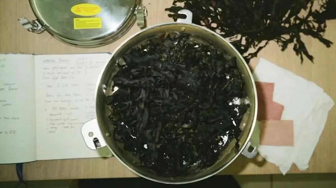 Colours of Food Waste: Seaweed Edition