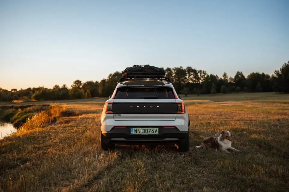 Spotkanie z Behawiorystą w Volvo Car Plichta Gdynia - Bezpieczna podróż zaczyna się od niego