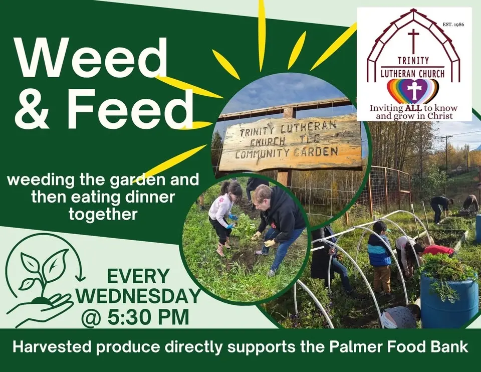 Weed & Feed 