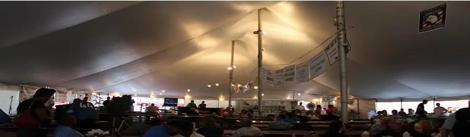 91st Annual Ox Roast Festival
