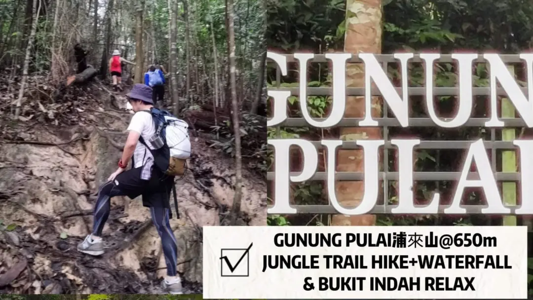 ✅[CONFIRMED] GUNUNG PULAI 650m JUNGLE TRAIL HIKE + WATERFALL RELAX