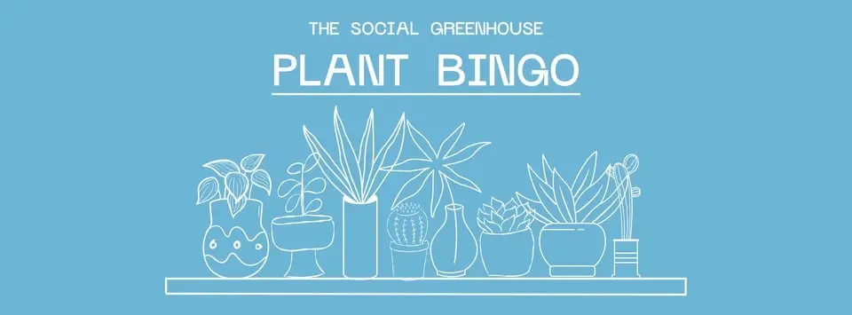 Plant Bingo