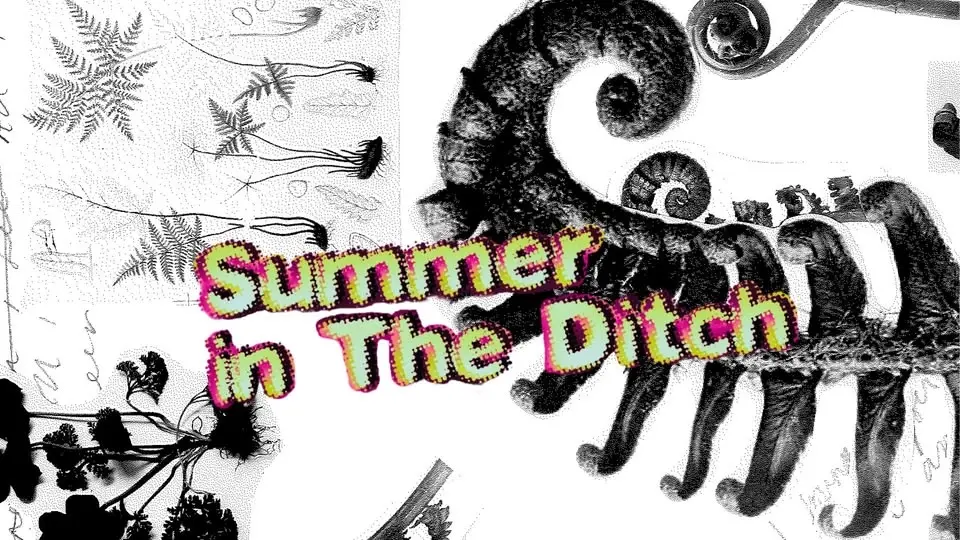 Edie Bailey's Pteridomania - Part of Summer in The Ditch