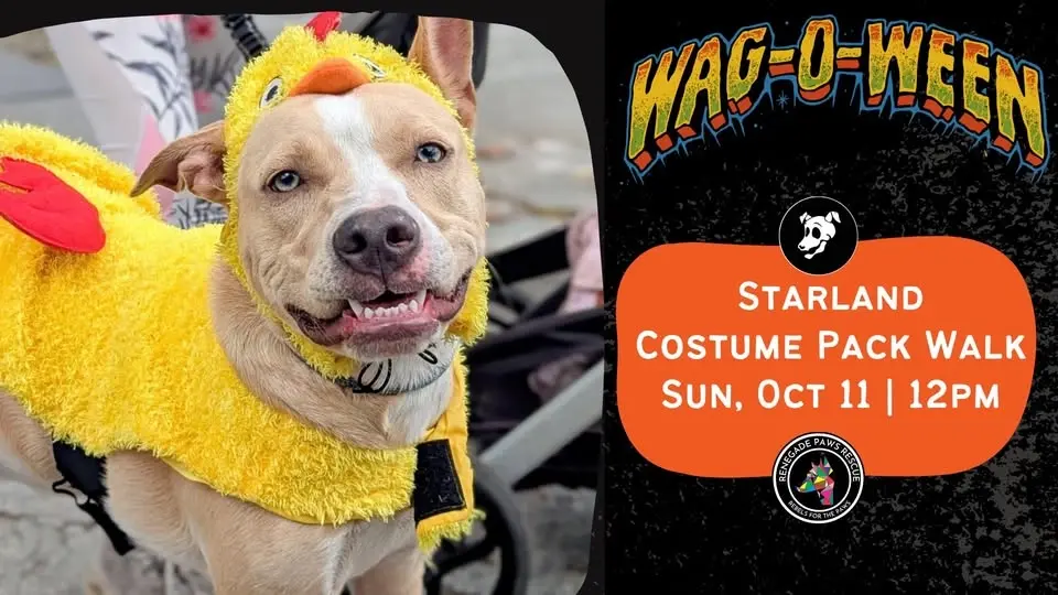 Starland District Costume Pack Walk!