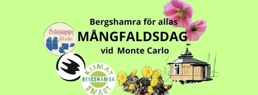 Mångfaldsdag