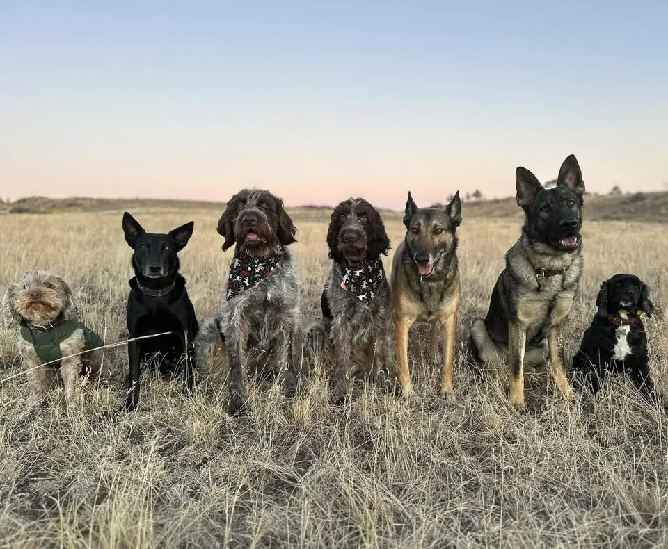 Structured Pack Walk Class