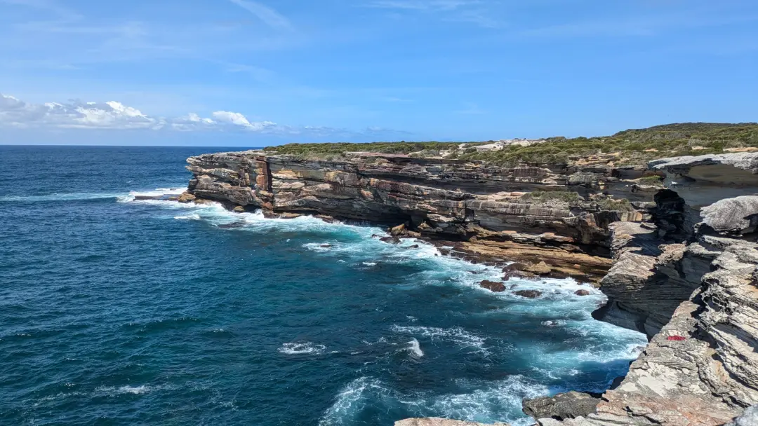🌊Cronulla Coastal Walk🏃🏃♀️ & Whales Watch🐳👀