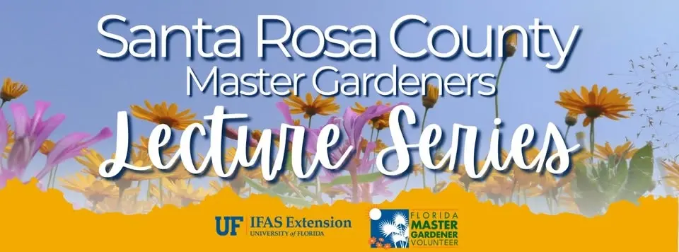 Bonsai Gardening Made Simple