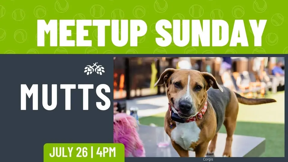 Mutt Meetup