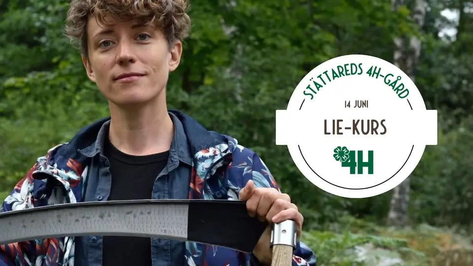 Lie-kurs • 14 juni