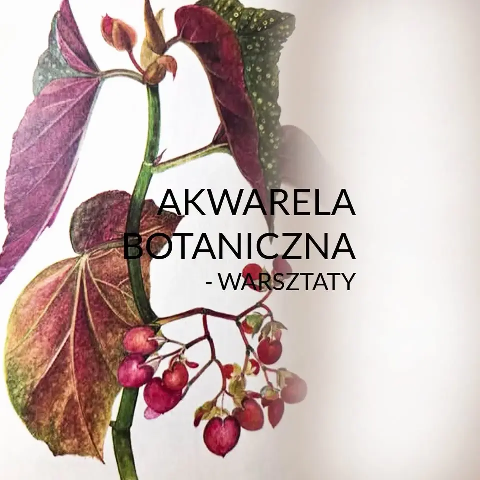 AKWARELA BOTANICZNA DLA POCZĄTKUJĄCYCH