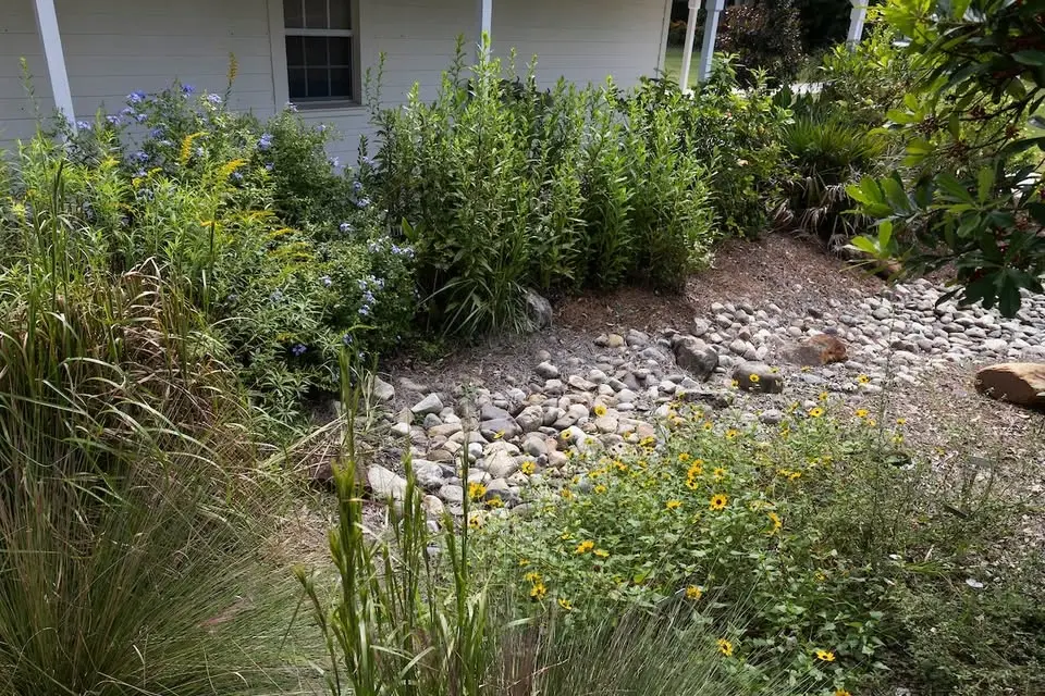 Rain Gardens 101: Simple Solutions for Stormwater