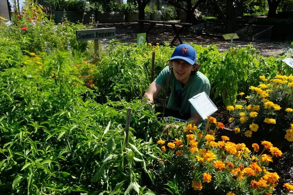 Urban Farm Volunteers