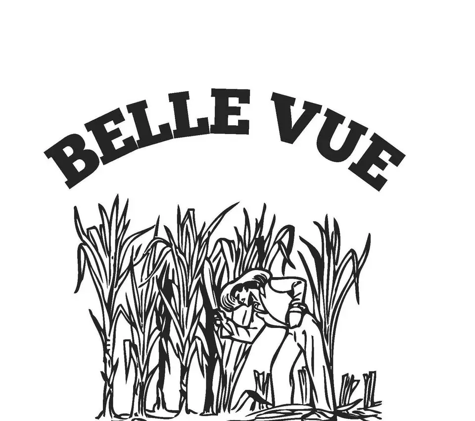 Belle Vue Annual Picnic