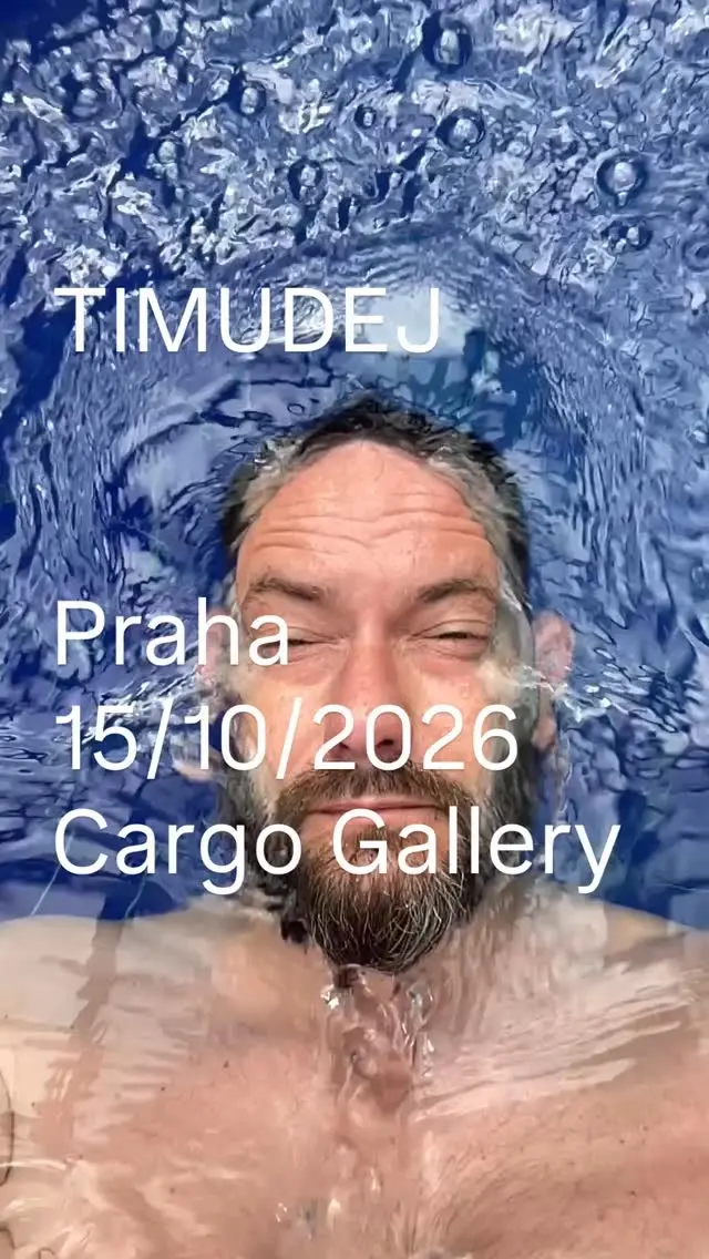 TIMUDEJ at Cargo Gallery