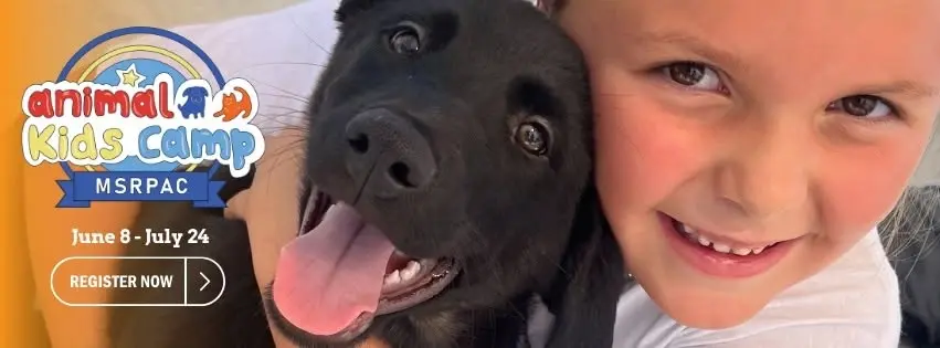 Animal Kids Camp 2026: Future Vets, Saving Pets!