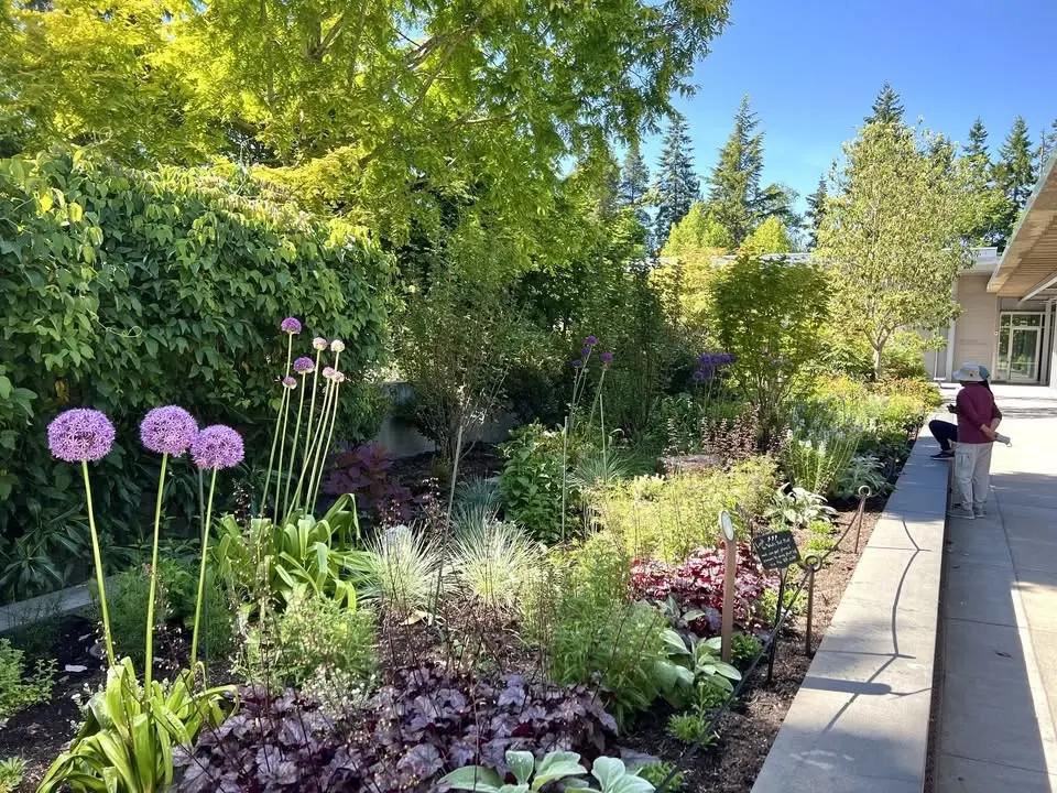 Flower Hour: Habitats at Home