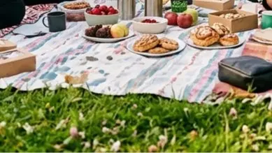 🌸 Girl-Only Picnic & Career Talk 🌸