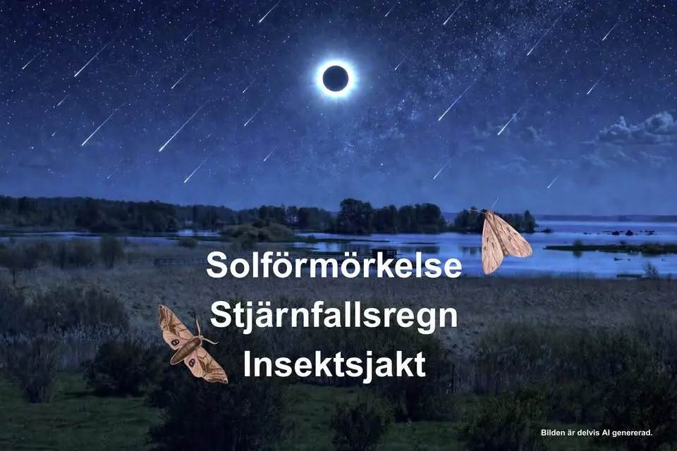 Spaning efter solförmörkelse, stjärnfall & nattens flygare