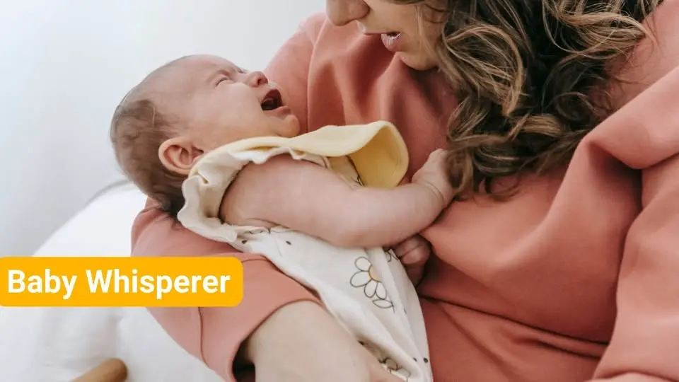 Baby Whisper (online or onsite)