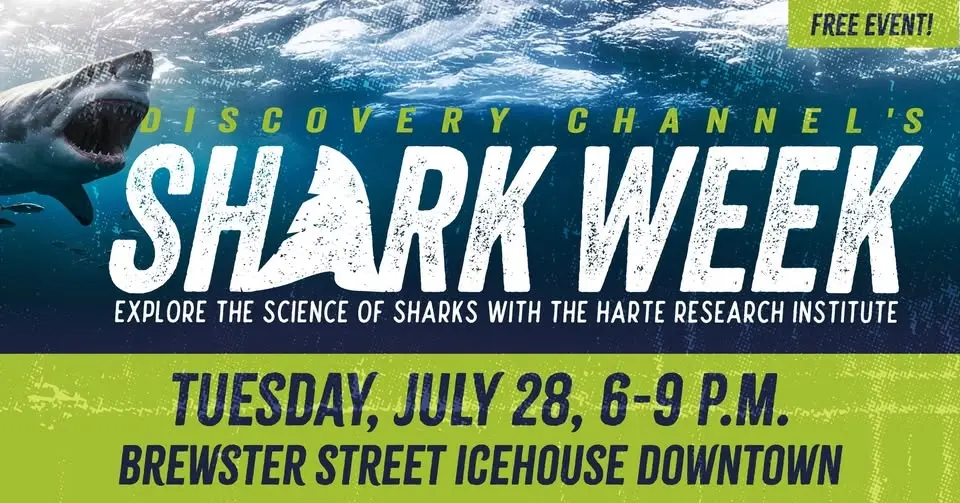 Shark Week LIVE