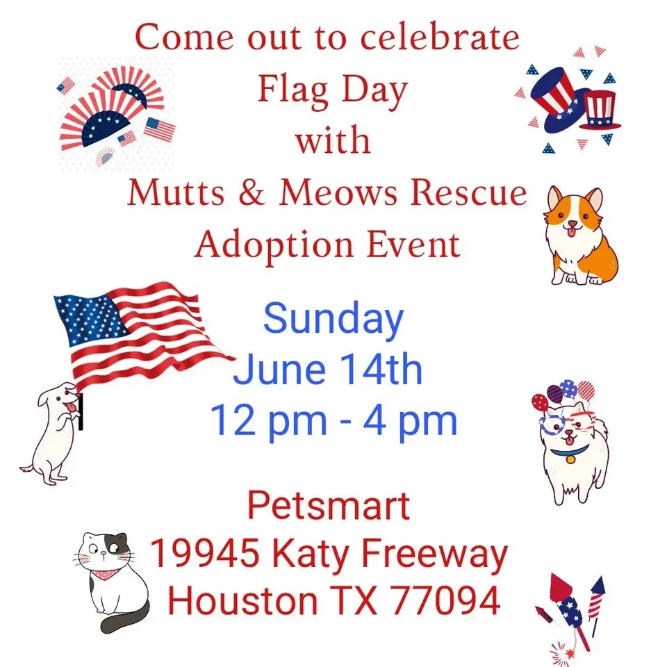 Flags Over Fosters Adoption Day!