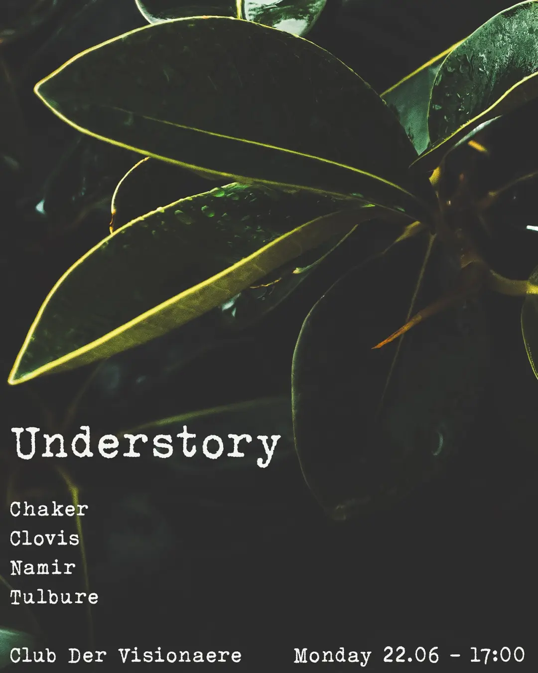 Understory: Chaker, Clovis, Namir, Tulbure