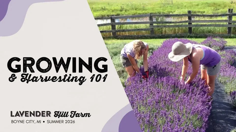 Growing & Harvesting 101 