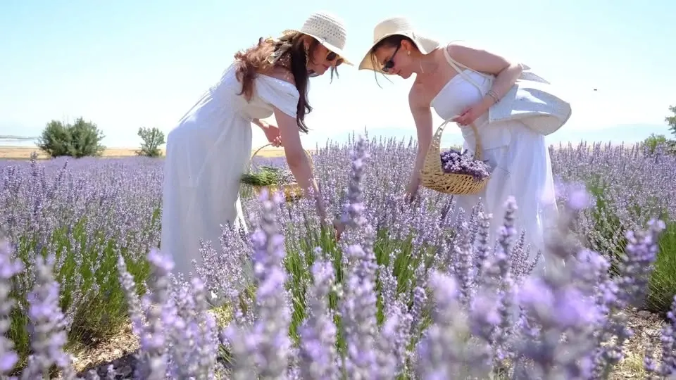 SALDA GÖLÜ & LAVANTA BAHÇELERİ TURU