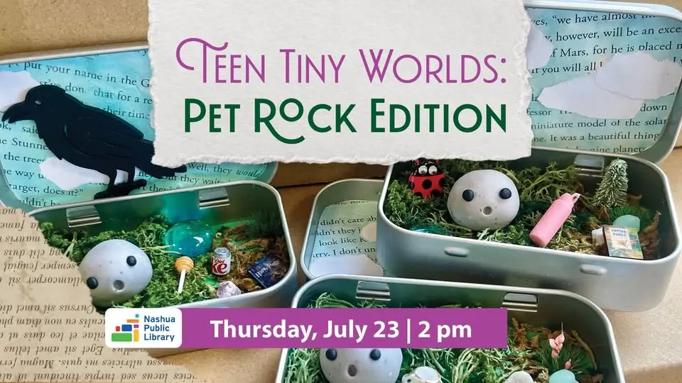 Teen: Tiny Worlds (Pet Rock Edition)