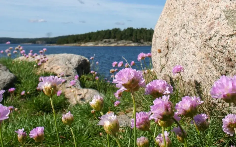 Är du nyfiken på körsång och vill testa på det i sommar?
