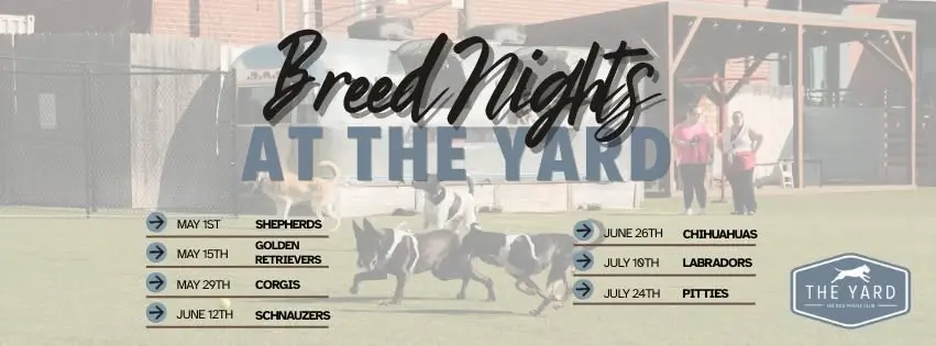 Breed Night - Pitties