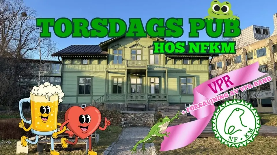 TORSDAGSPUB - NFKM