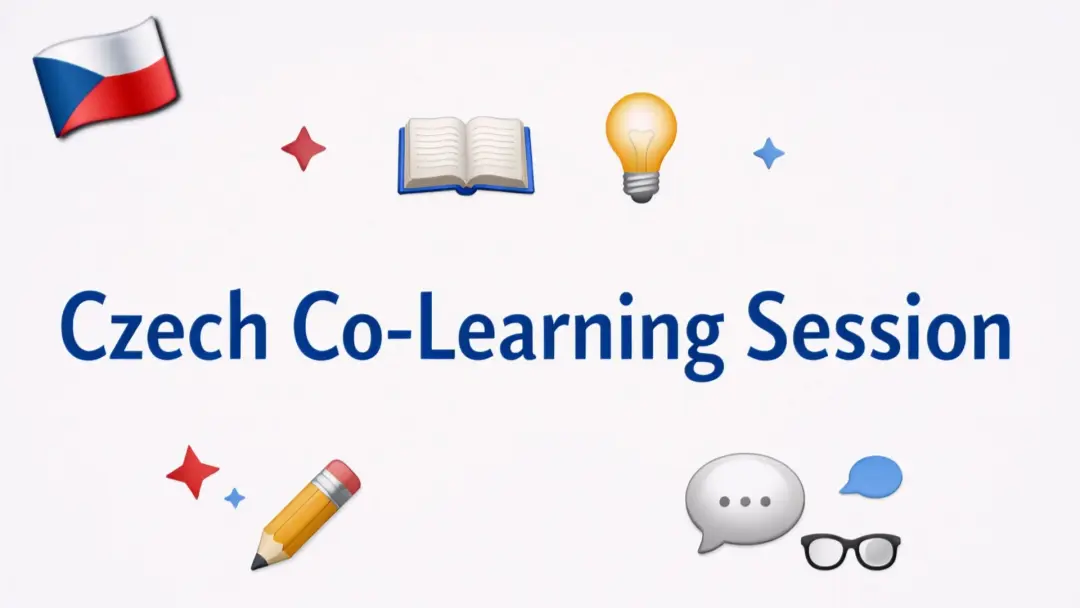 Czech Co-Learning Session đ¨đż