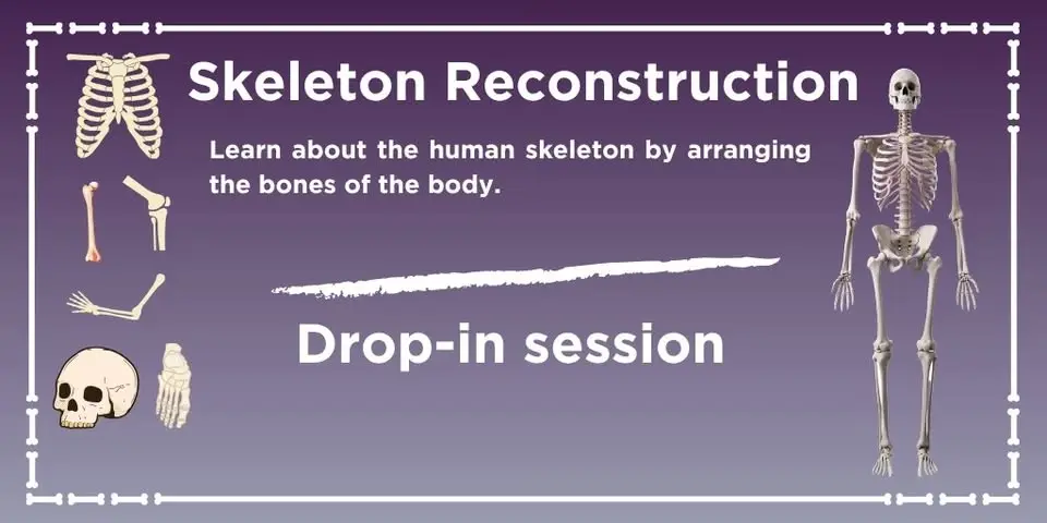 Skeleton Drop-in Session