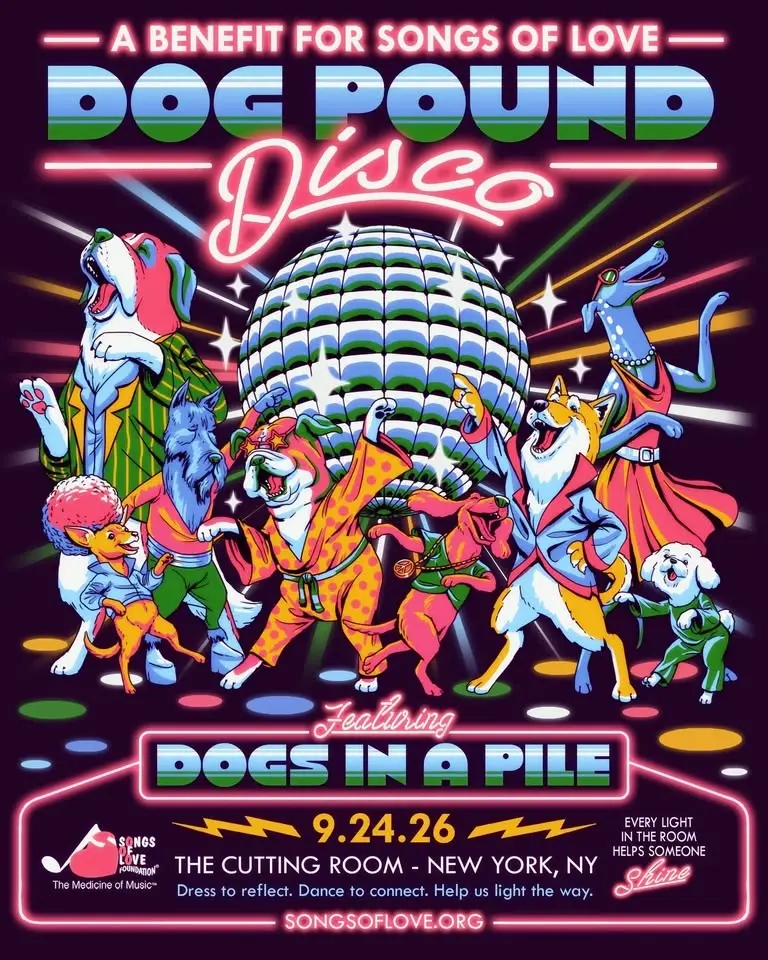 Dog Pound Disco