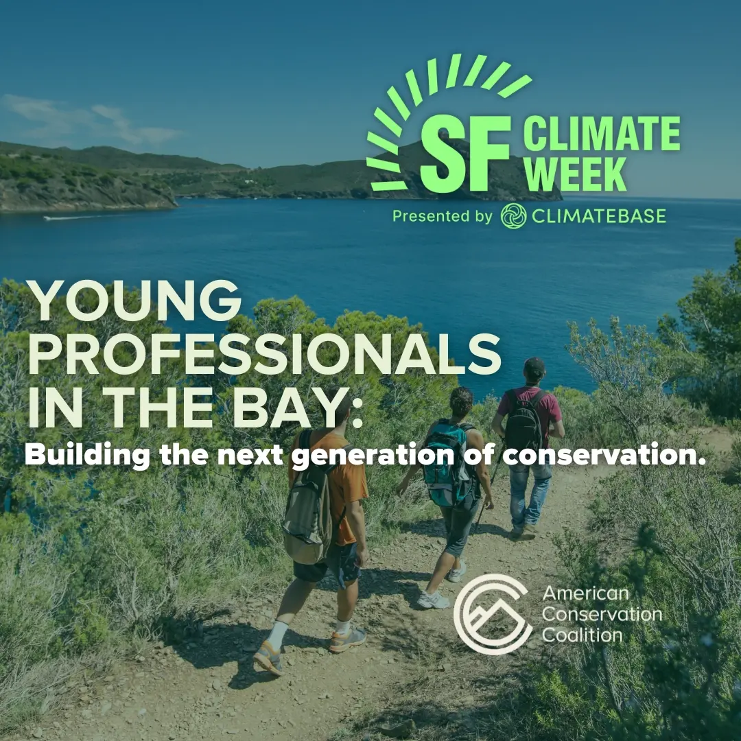 Hike & Connect: Young Professionals in Sustaintability!
