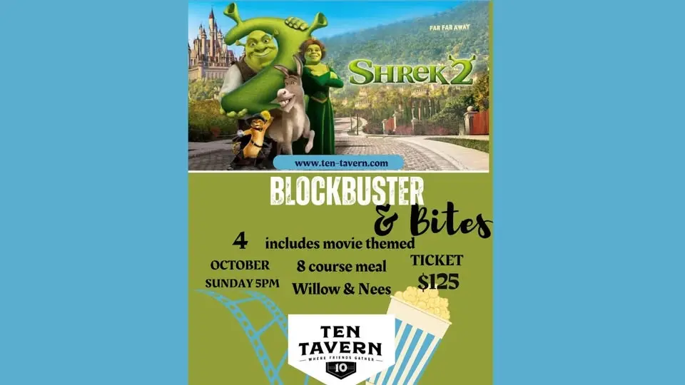 Shrek 2 Movie Night