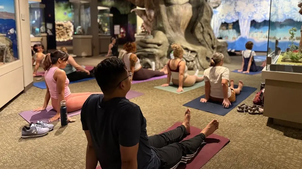 Yoga at the Museum
