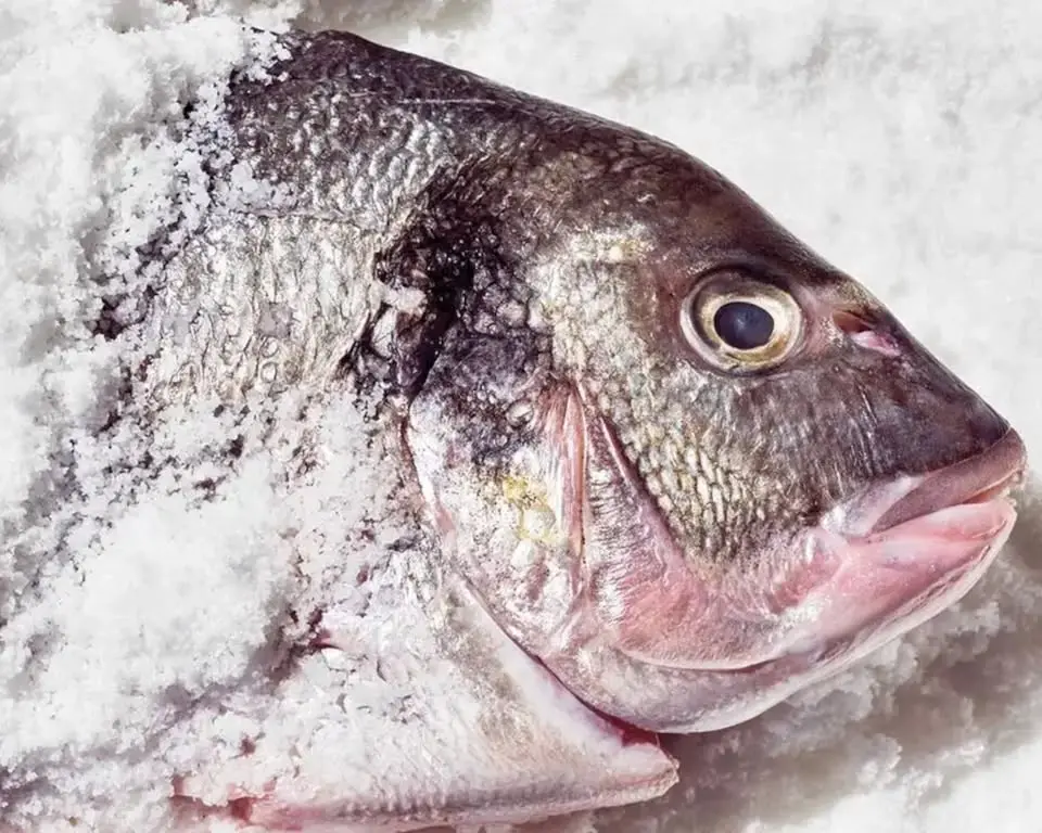 FISH - Masterclass