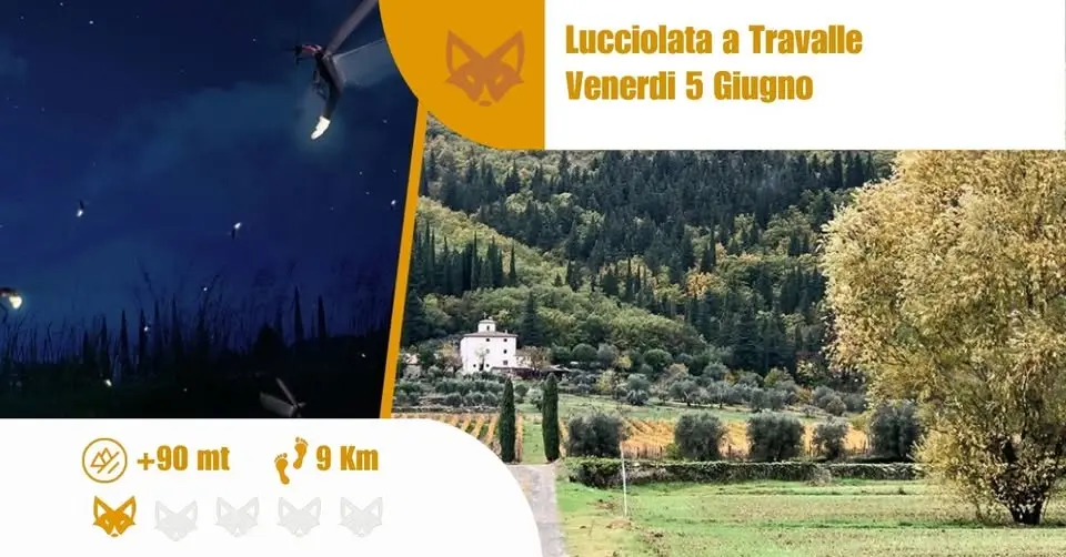 Lucciolata a Travalle