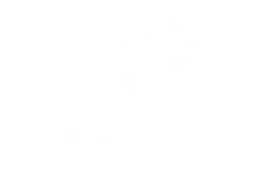 LC Academy - CULTURAL CREATION & VISUAL STORYTELLING