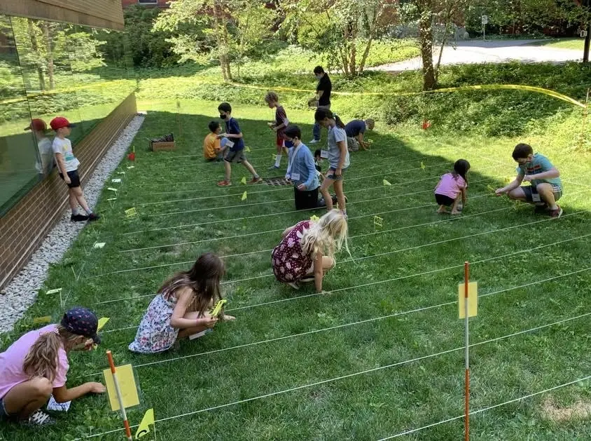 Summer Science Week: Life in Ancient Times