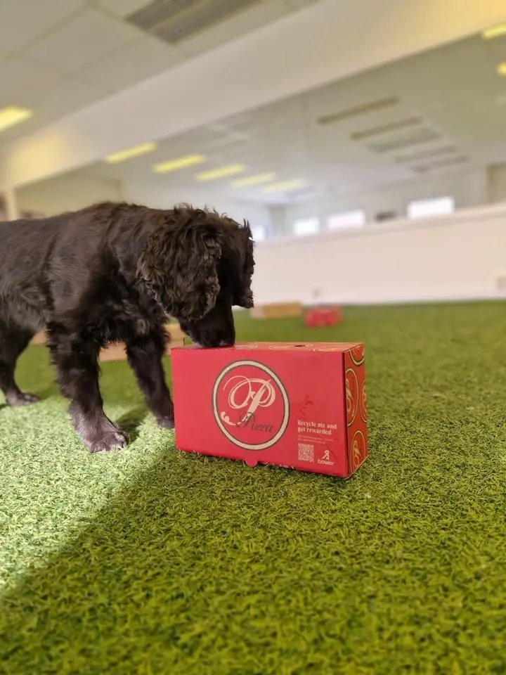 Prova på Nosework! 