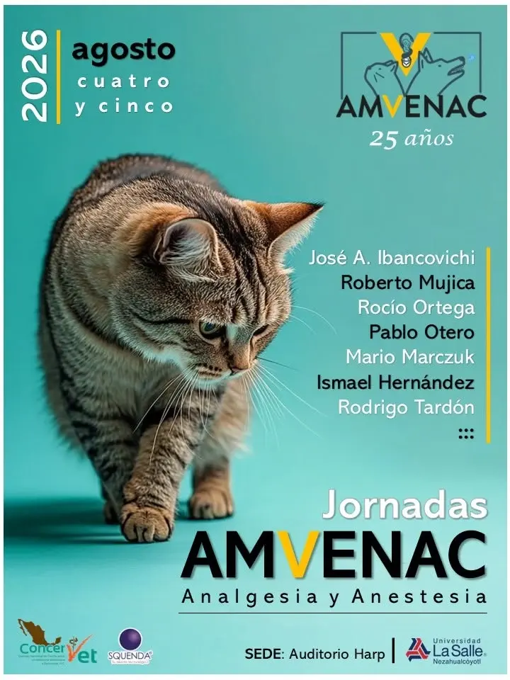 Jornadas AMVENAC 2026 - Analgesia y Anestesia