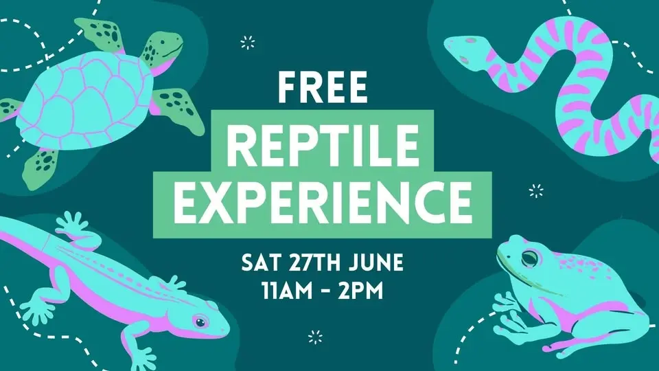 Free Reptile Experience at St Helena Marketplace